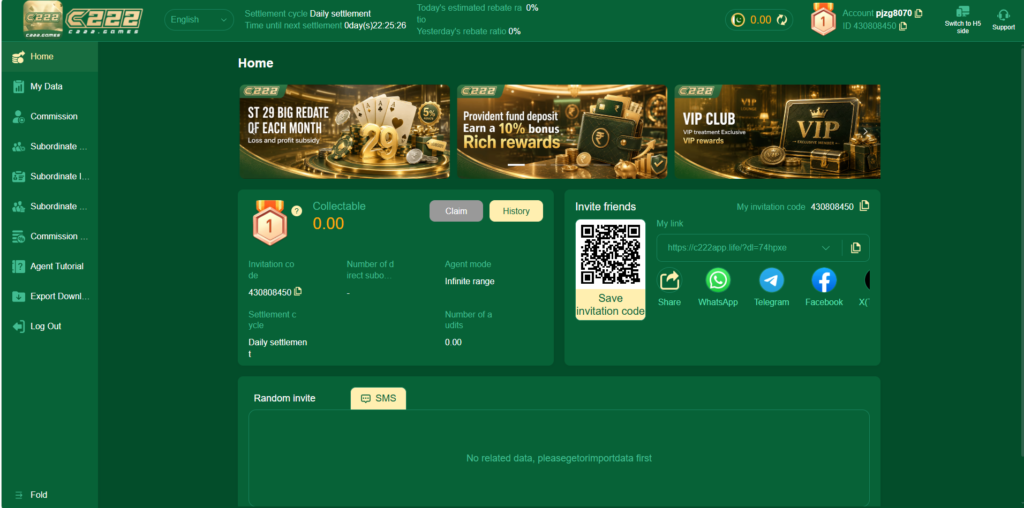 c222 games web view